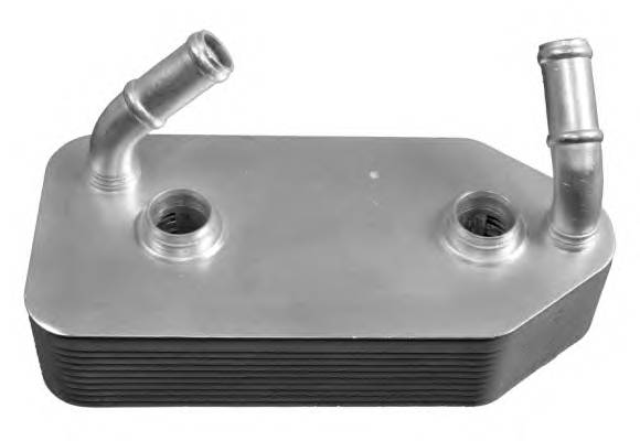 Radiatore olio, Cambio automatico - B10879 Borsehung